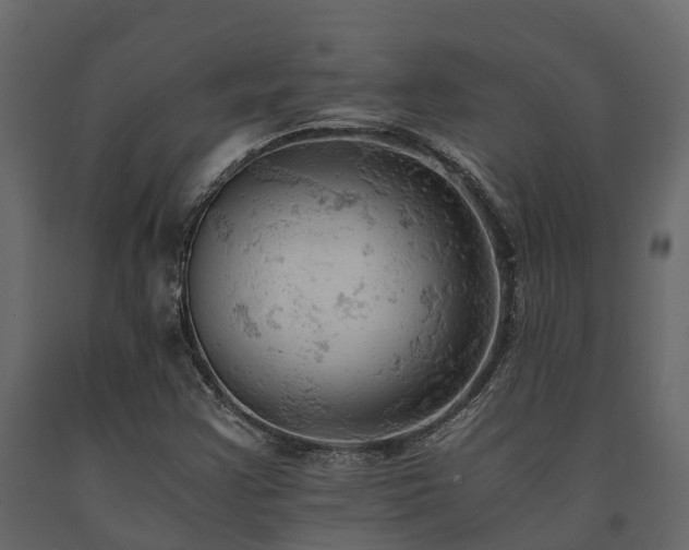 X0000091651355200708231212