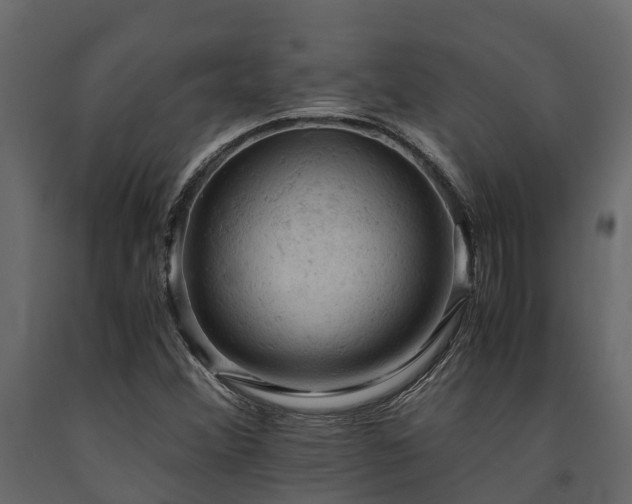 X0000091651356200708231212