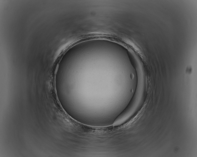 X0000091651357200708231212