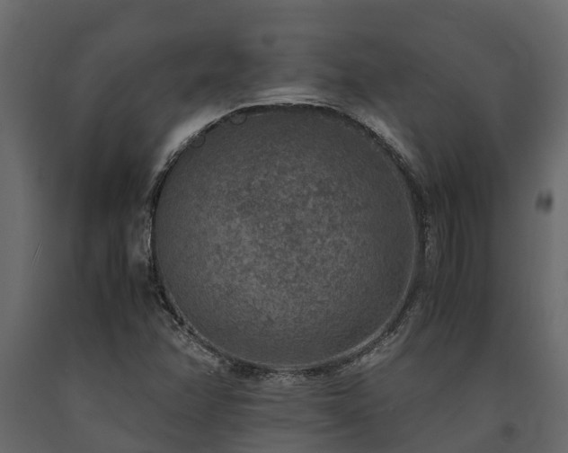 X0000091651358200708231212