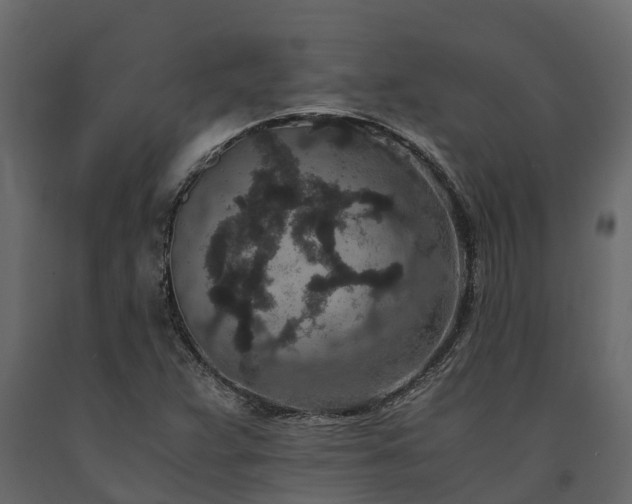 X0000091651359200708231212