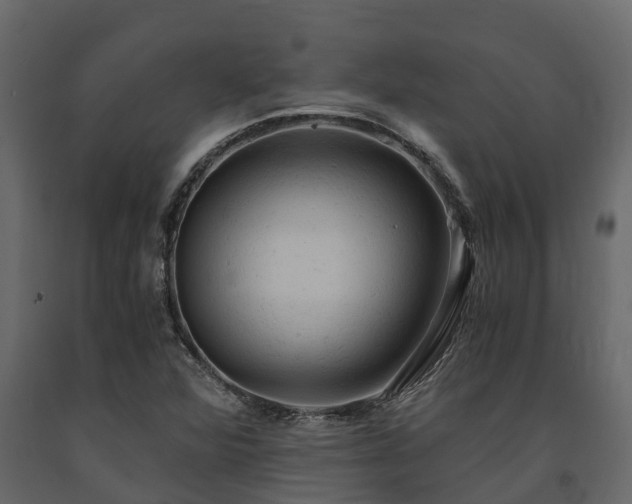 X0000091651360200708231212