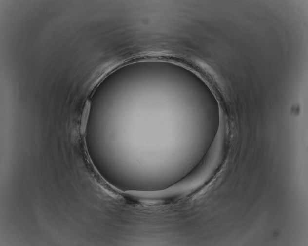 X0000091651361200708231212