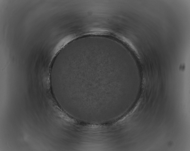 X0000091651362200708231212