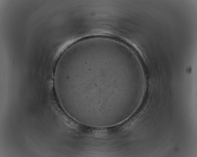 X0000091651363200708231212