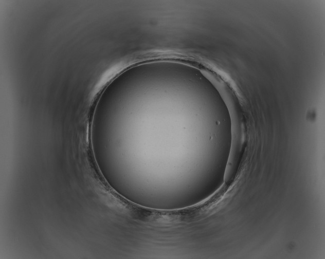 X0000091651365200708231212