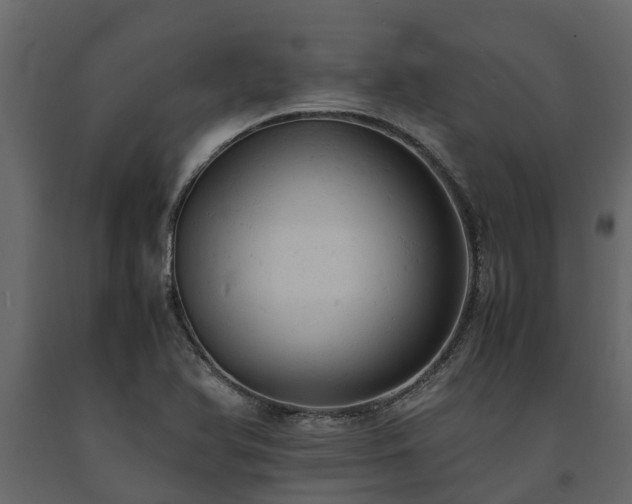 X0000091651366200708231212