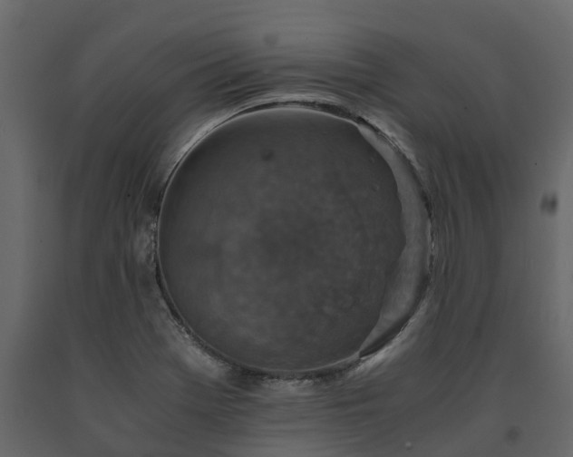 X0000091651369200708231212