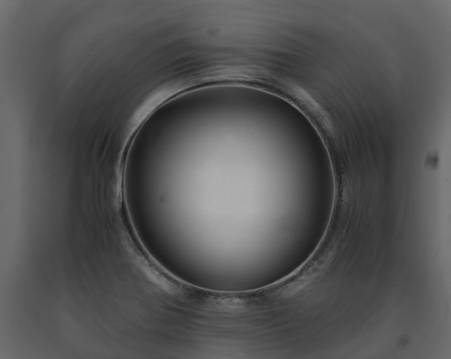 X0000091651370200708231212