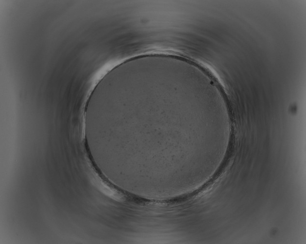 X0000091651371200708231212