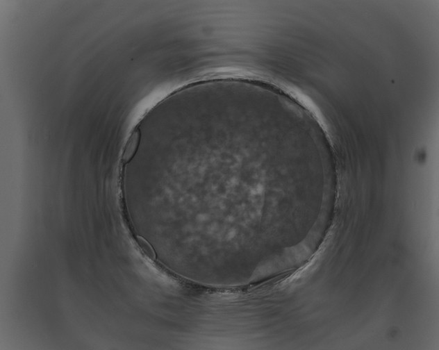 X0000091651373200708231212