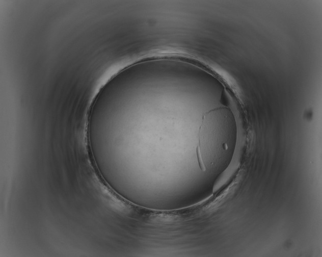 X0000091651374200708231212