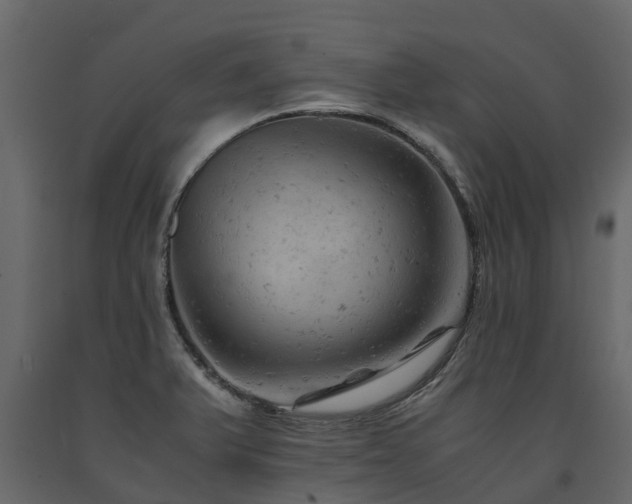 X0000091651375200708231212