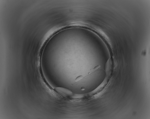 X0000091651376200708231212