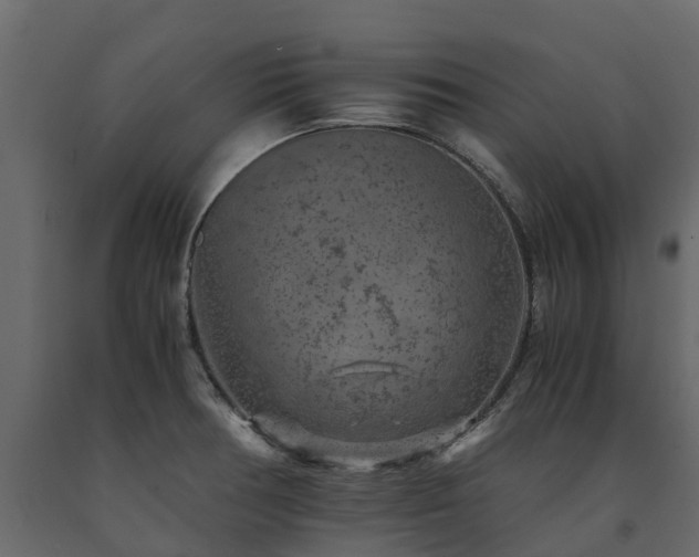 X0000091651378200708231212