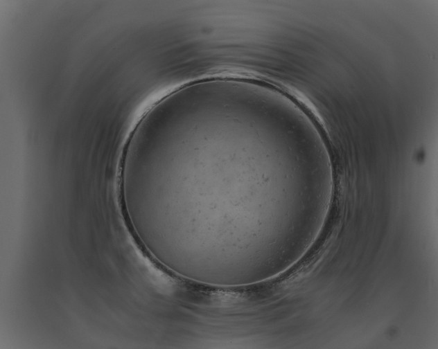 X0000091651379200708231212