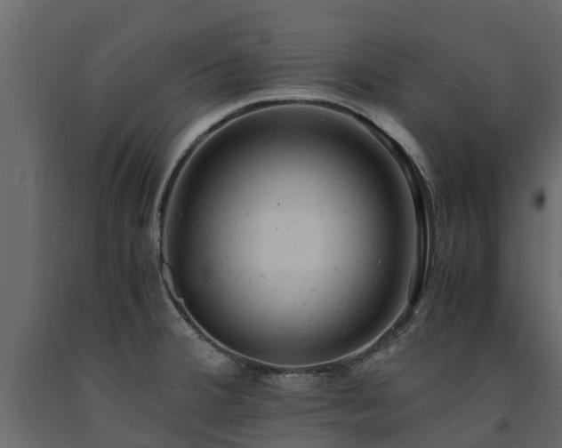 X0000091651380200708231212