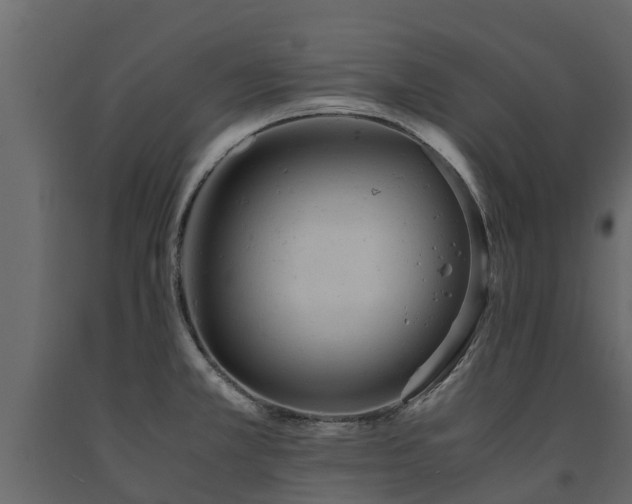X0000091651381200708231212