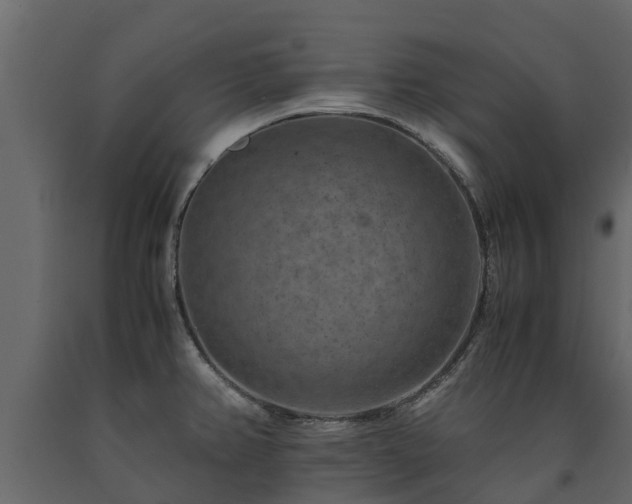 X0000091651382200708231211