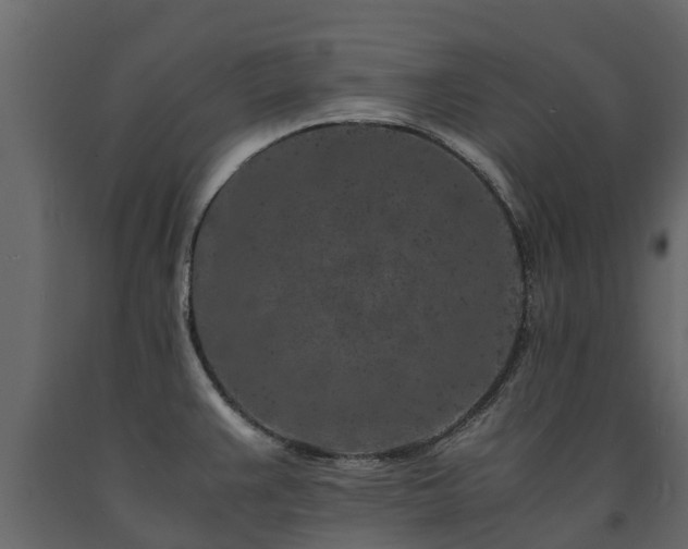 X0000091651383200708231211