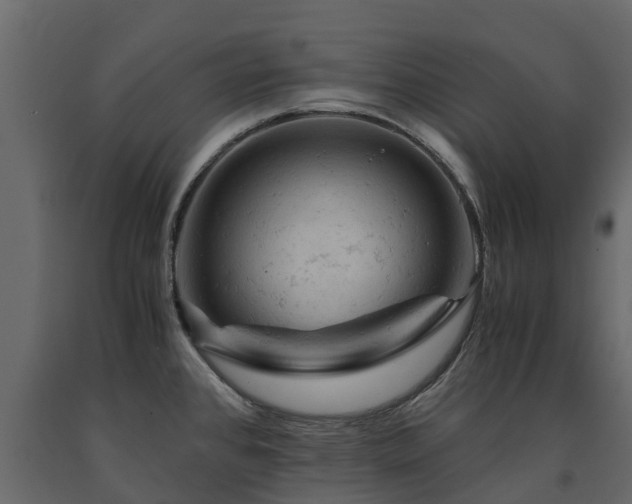 X0000091651384200708231211