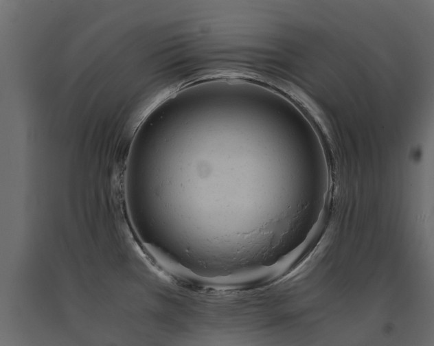 X0000091651385200708231211