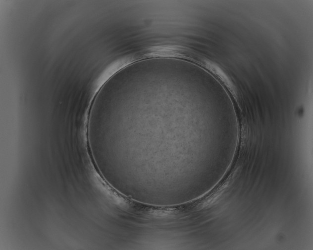 X0000091651386200708231211