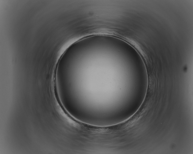 X0000091651387200708231211