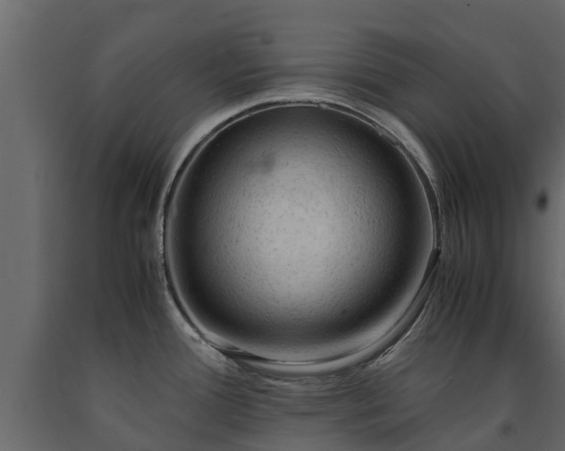 X0000091651388200708231211