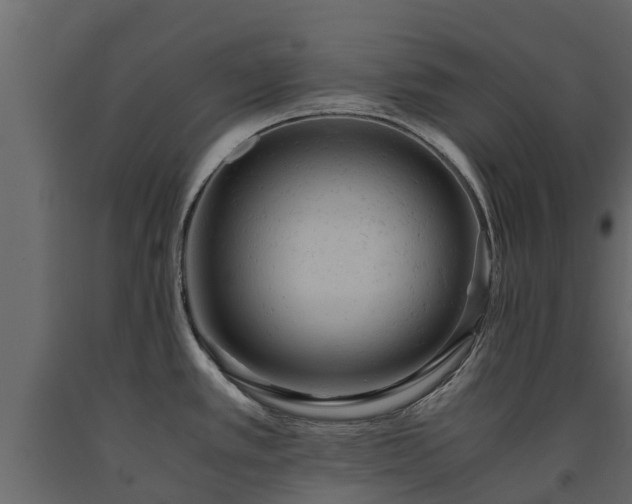 X0000091651389200708231211