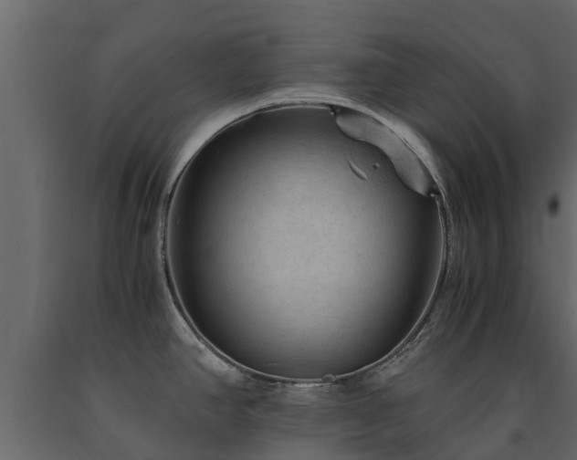 X0000091651390200708231211