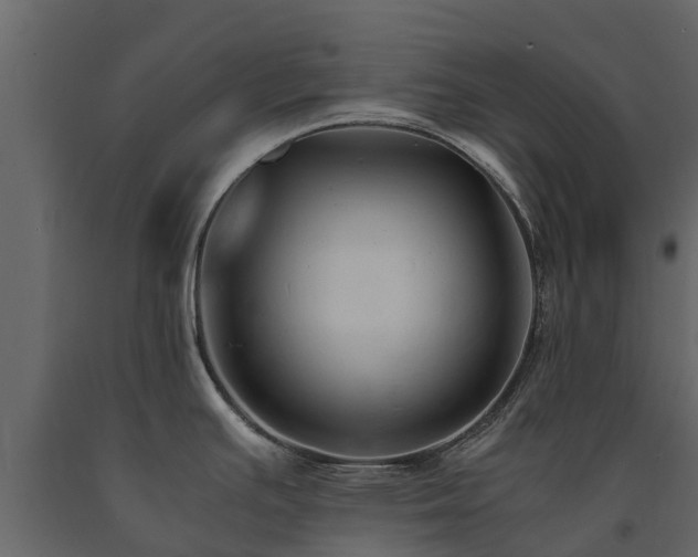 X0000091651391200708231211