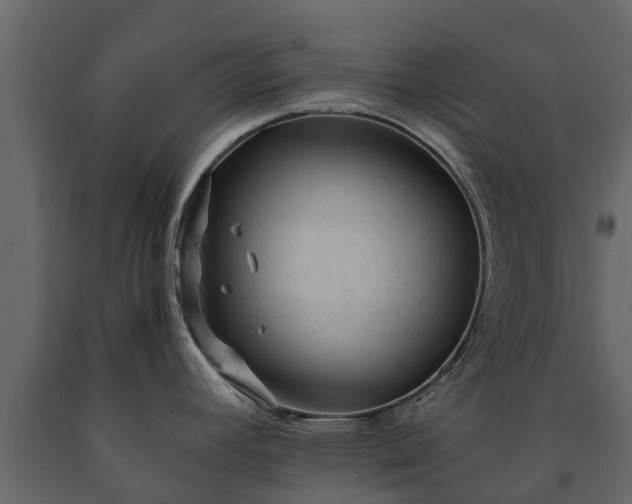 X0000091651392200708231211