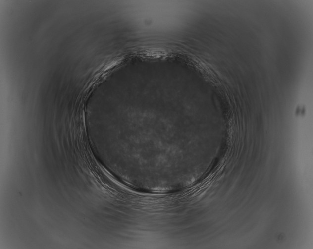 X0000091651394200708231211