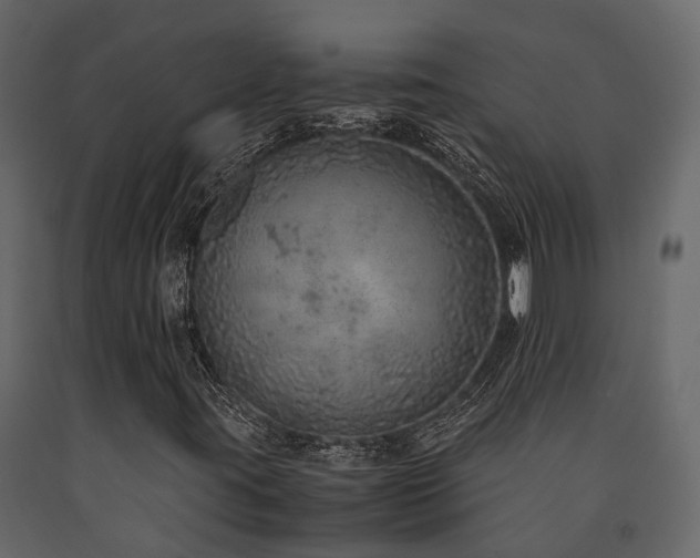 X0000091651395200708231211