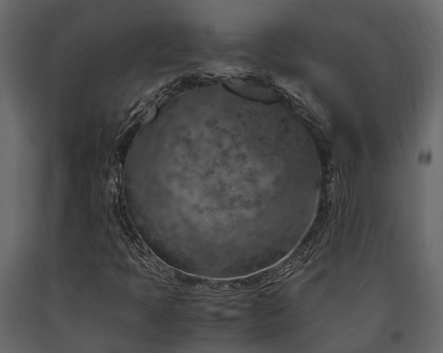 X0000091651397200708231211