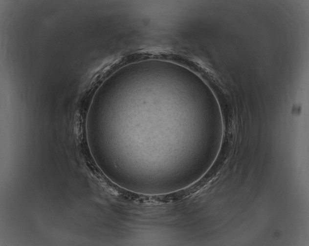 X0000091651398200708231211