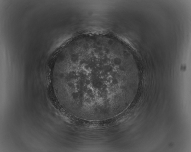 X0000091651399200708231211