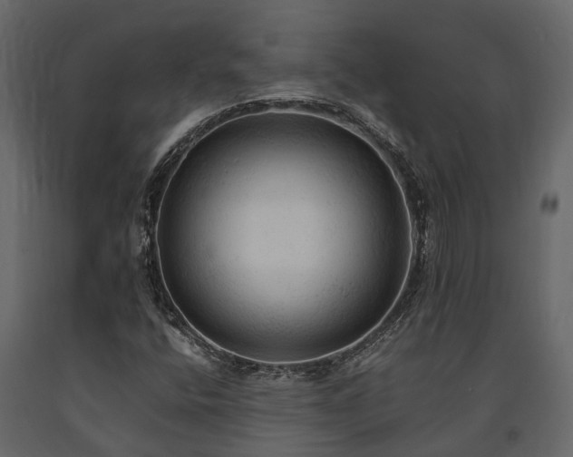 X0000091651400200708231211