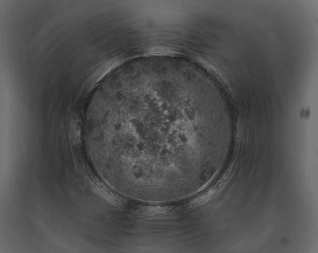 X0000091651401200708231211