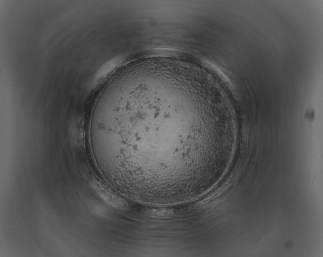 X0000091651403200708231211