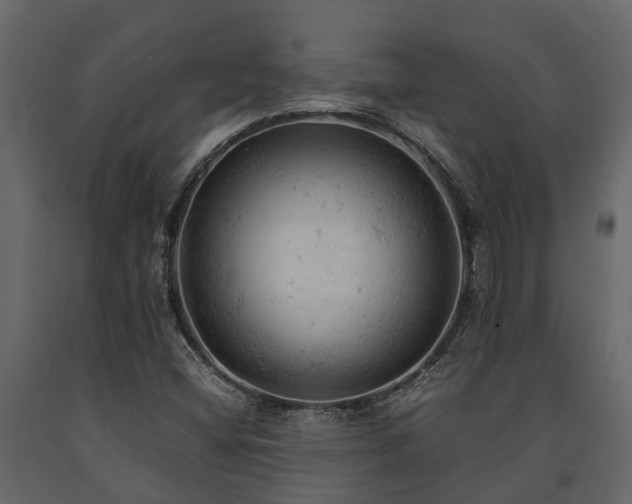 X0000091651404200708231211