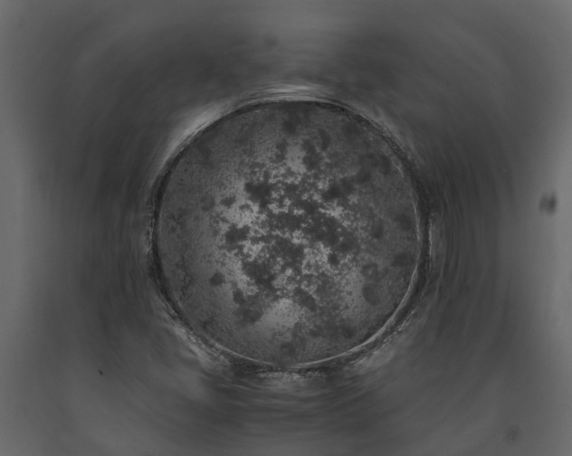 X0000091651405200708231211