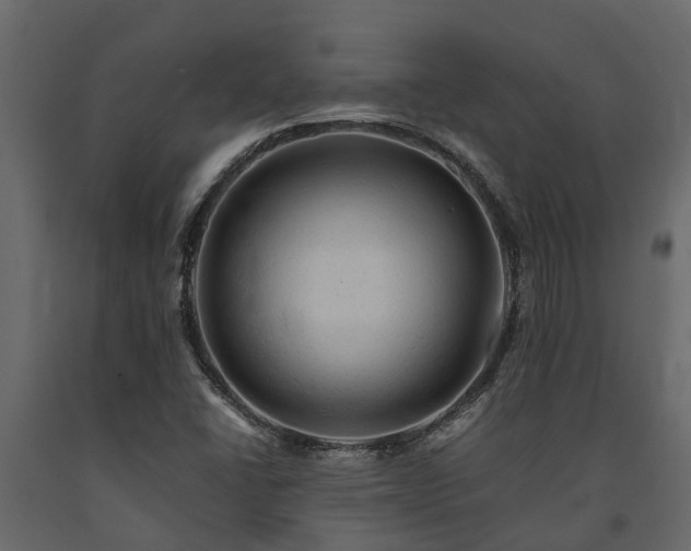 X0000091651406200708231211