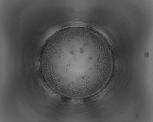 X0000091651407200708231211