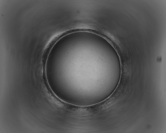 X0000091651408200708231211
