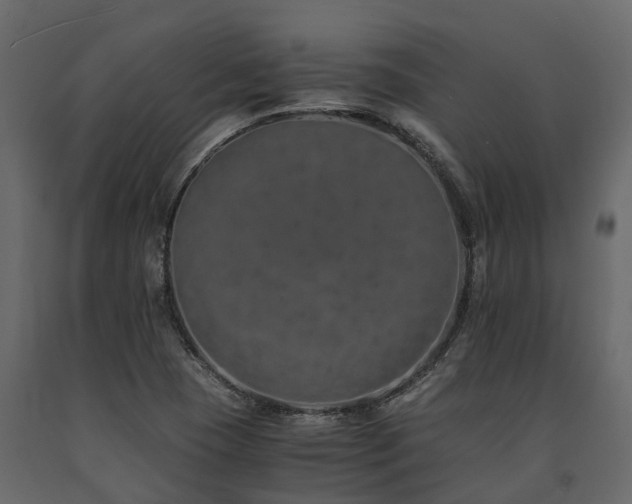 X0000091651409200708231211
