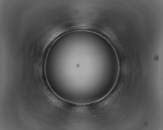 X0000091651410200708231211