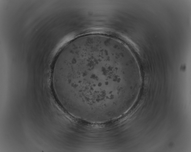 X0000091651411200708231211