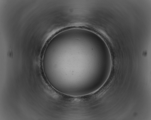 X0000091651412200708231211